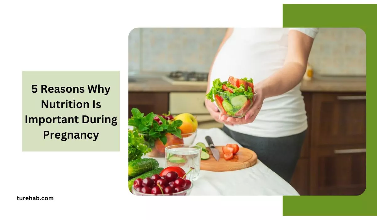 Reasons Why Nutrition Is Important During Pregnancy