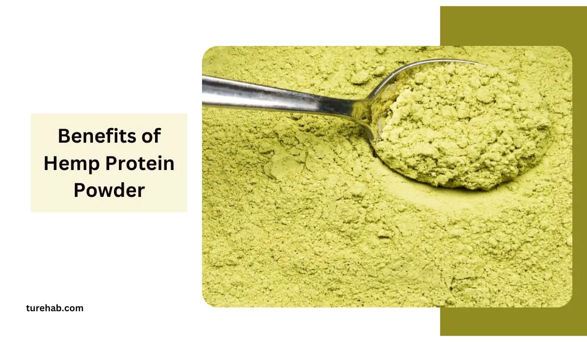 Discover The Benefits of Hemp Protein Powder- Natural Plant-Based Protein