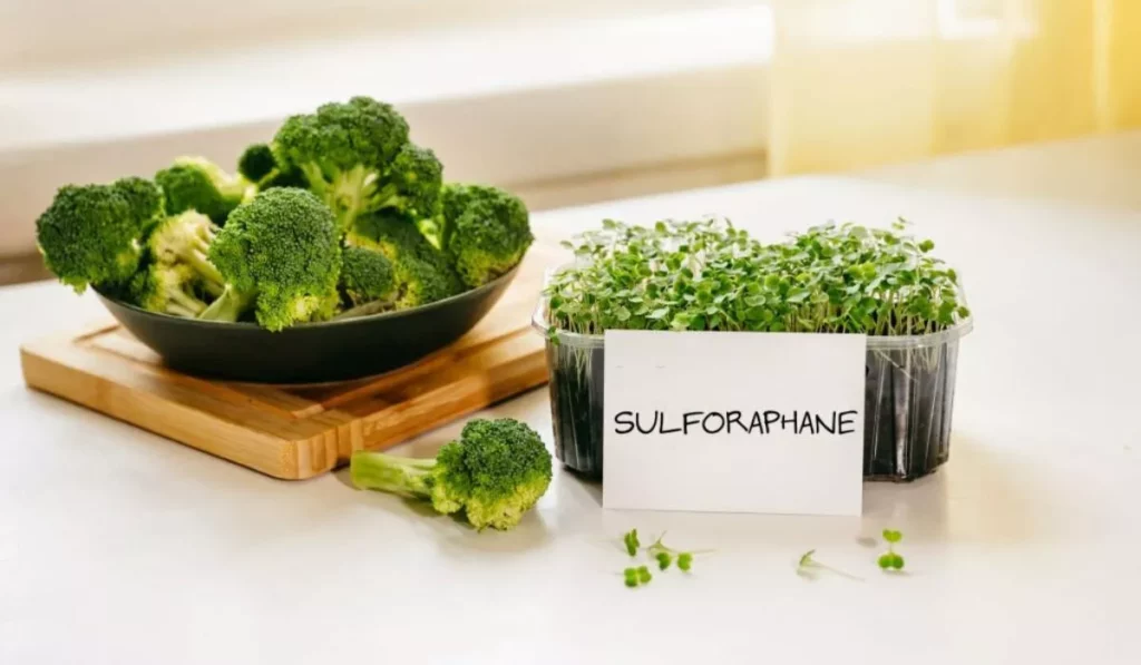 Broccoli Sprouts Are Rich in Sulforaphane