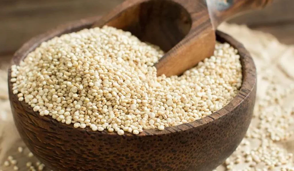 Insights Into Quinoa