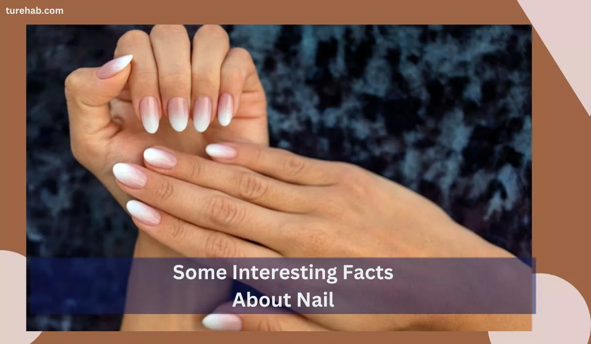Some Interesting Facts About Nails