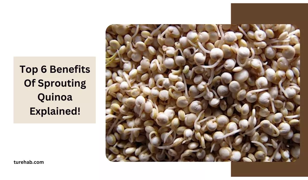 Top 6 Benefits Of Sprouting Quinoa Explained!